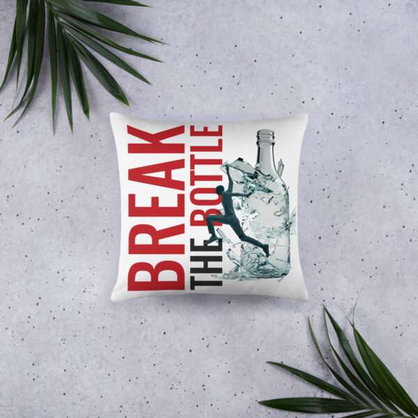 Break The Bottle Pillow