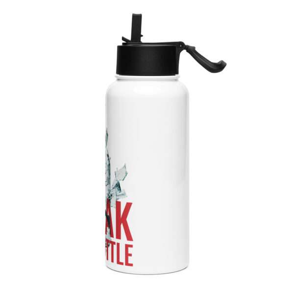 Break the Bottle Title Stainless Steel Water Bottle - Image 3