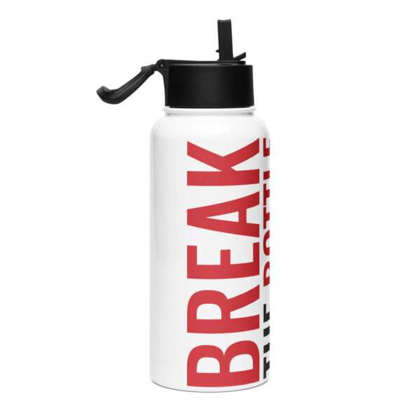 Break the Bottle Cover Stainless Steel Water Bottle with a Straw Lid - Image 4